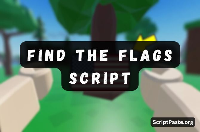 Find The Flags Script